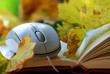 Mouse and leaves on book.