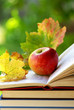 Apple and leaves on book.