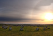 Standing stones