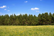 Summer landscape in mountains and the dark blue sky with clouds