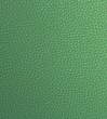 Light Green Fake Leather Pattern