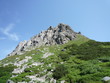 Berg