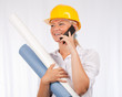 Architect or engineer lady