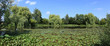 bassin aquatique en panoramique