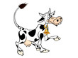 Funny cow