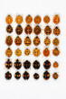 Multicolored asian lady beetles Multicolored asian lady beetles