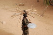 Femme : pays dogon