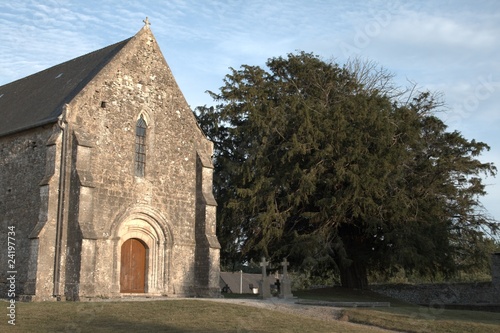 Photo: XII sentury's chirch with a tree XII sentury's chirch with a tree