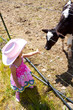Little Cowgirl Little Cowgirl