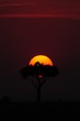 African sunset in Masai Mara, Kenya