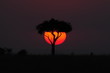 African sunset in Masai Mara, Kenya