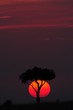 African sunset