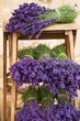 Lavender bunches for sale