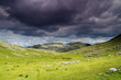 Photo: Zelengora mountain in Sutjeska national park Zelengora mountain in Sutjeska national park