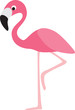 flamingo cartoon flamingo cartoon