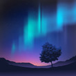 Northern Lights