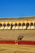 Seville bullring