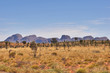 AUS-Olgas2