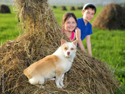 Photo: hay hay