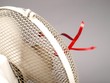 Fan, perspective