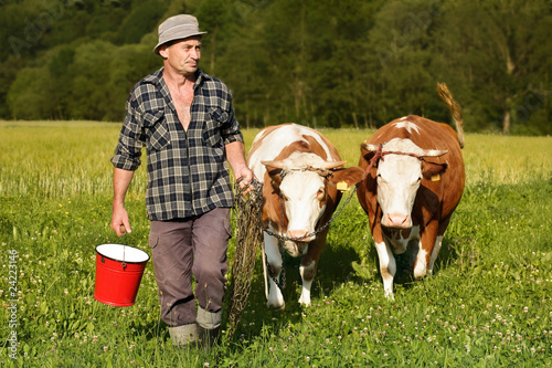 Photo: farmer and cows farmer and cows