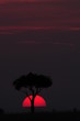 African sunset