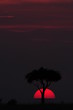 African sunset