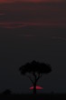 African sunset