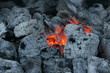 glühende holzkohle
