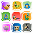 cartoon birds