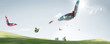 fly