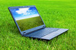 Laptop on grass Laptop on grass