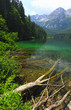 italian alps tovel lake