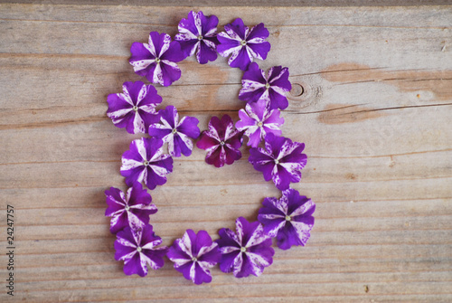 Photo: 8 en fleurs 8 en fleurs