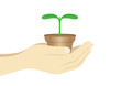 holding plant001