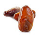 dates - datteri