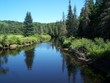 summer stream scene
