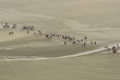 baia mont saint michel