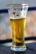 gold beer