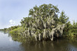 Bayou Bayou
