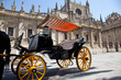 Coche de caballos frente a la catedral de Sevilla
