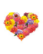 flower heart