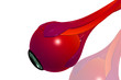 eye