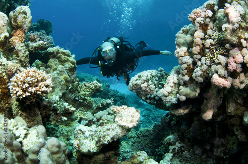 Photo: scuba diver in shallow water scuba diver in shallow water