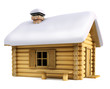Wooden house