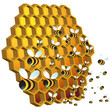 Honey Bees