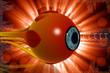 eye