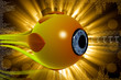 eye