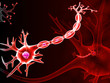 Human neuron cell