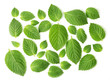 mint